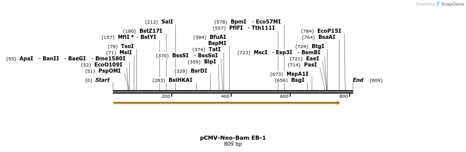23214_map