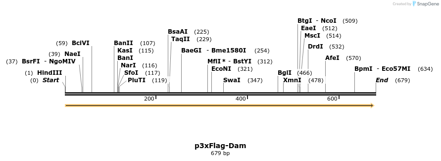 232147_map
