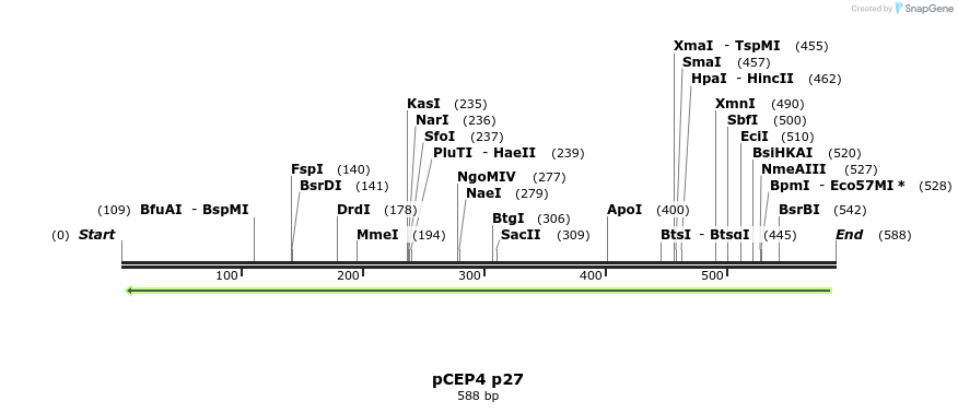 23215_map