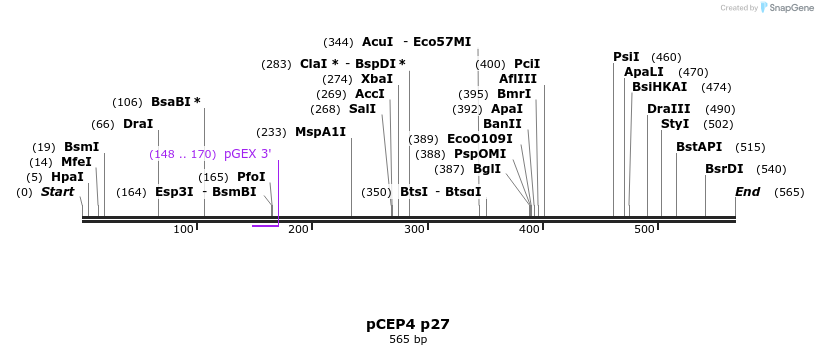 23216_map