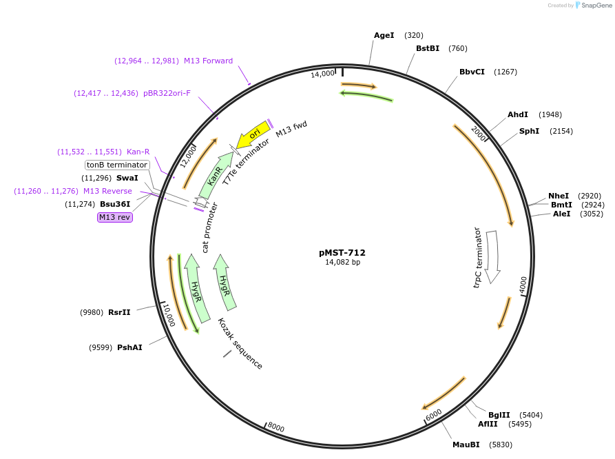 232161_map