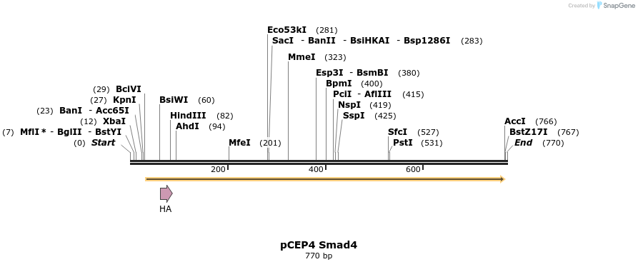 23217_map