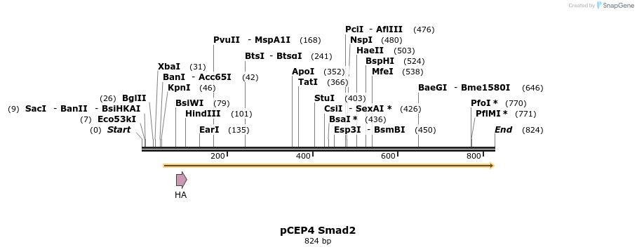 23218_map