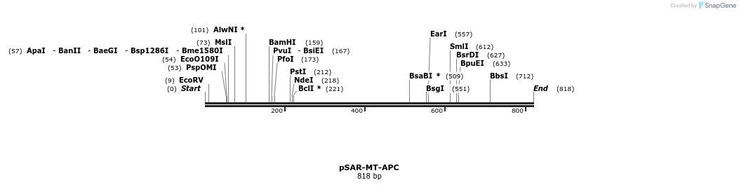 23221_map