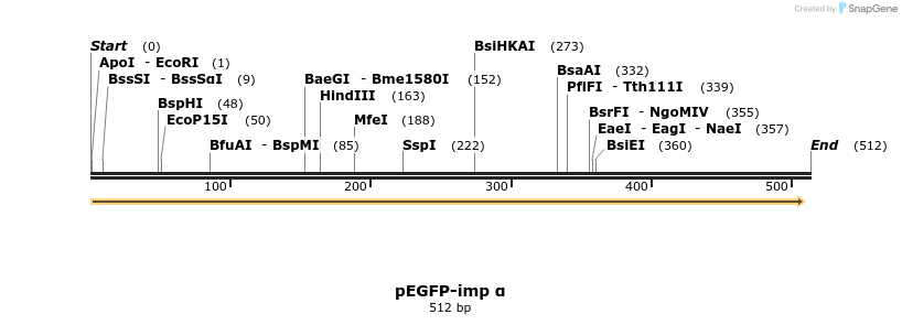 232215_map