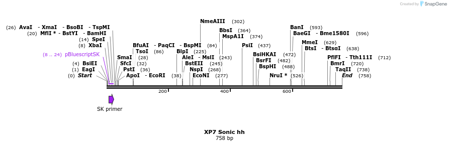 23222_map