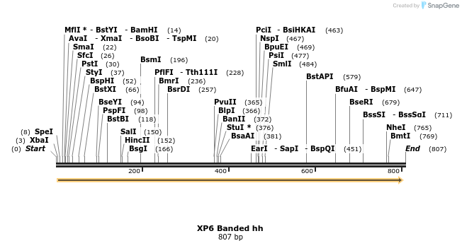 23223_map