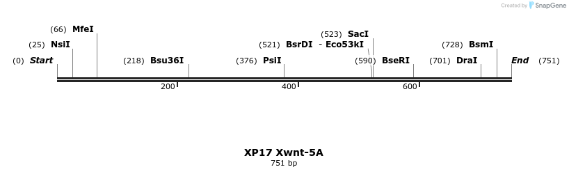 23224_map