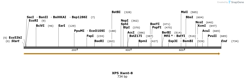 23225_map