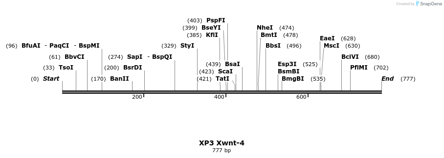 23227_map