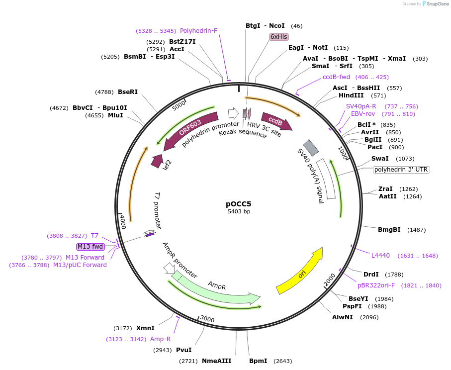 232276_map