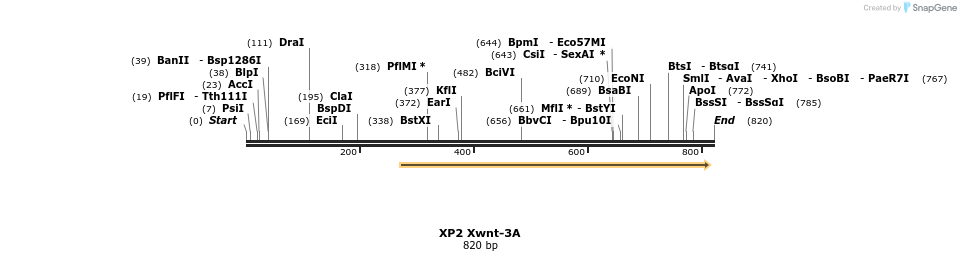 23228_map