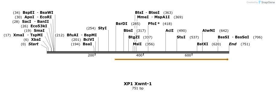 23229_map