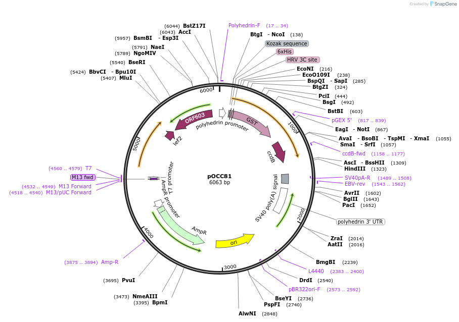 232307_map