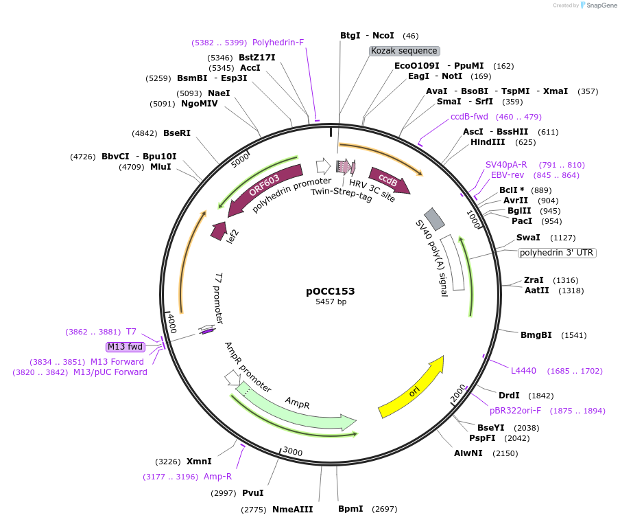 232312_map