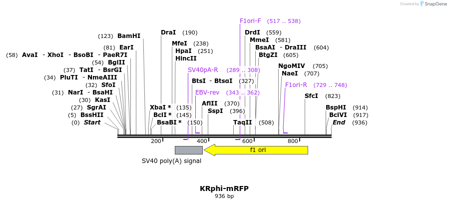 23232_map