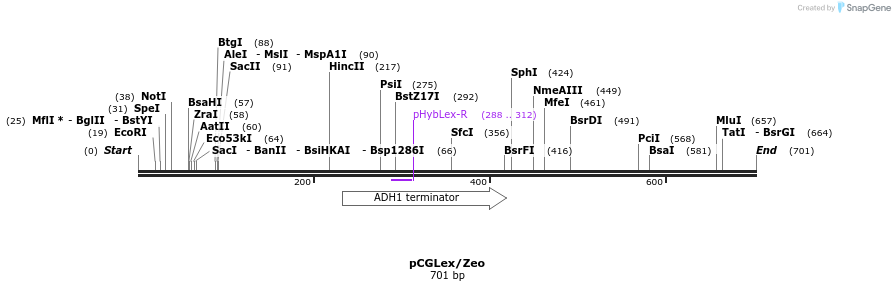 23233_map