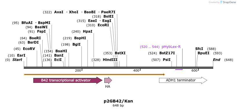 23234_map