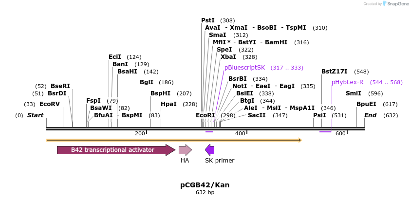 23235_map