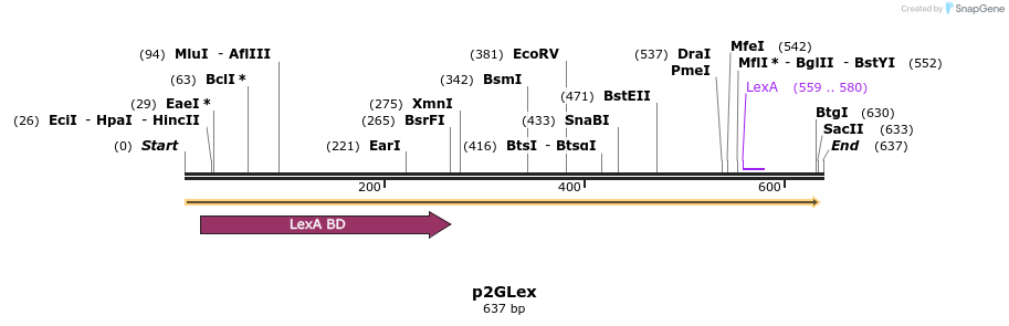 23236_map