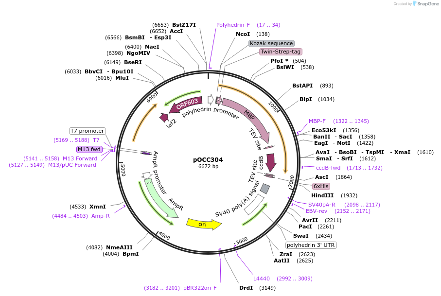 232369_map