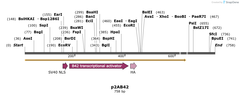 23240_map