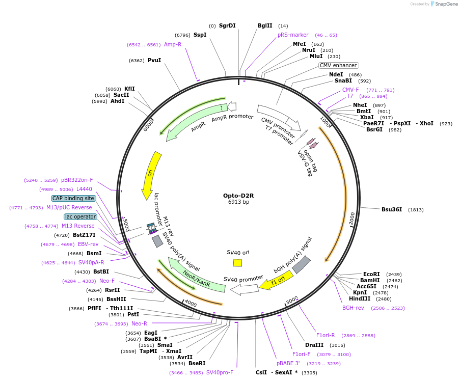 232402_map