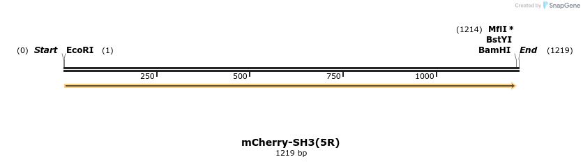232415_map