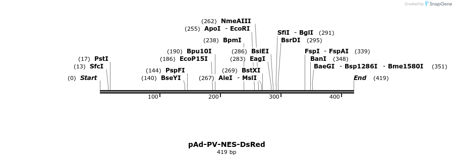23246_map