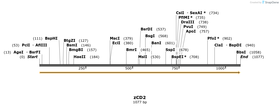 232482_map