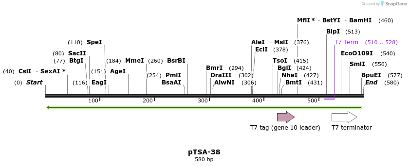 23254_map