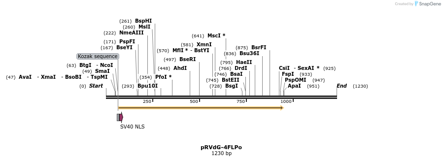 232575_map