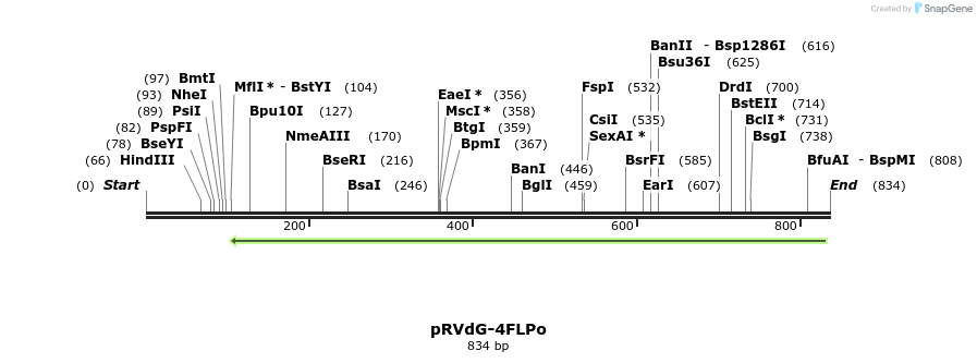 232576_map