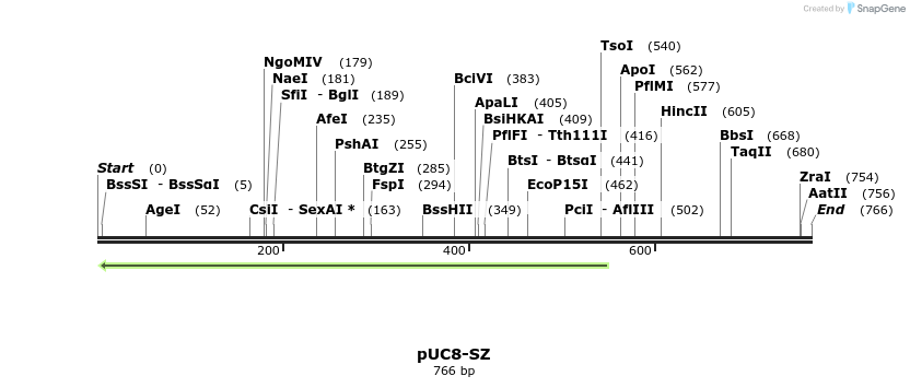23258_map