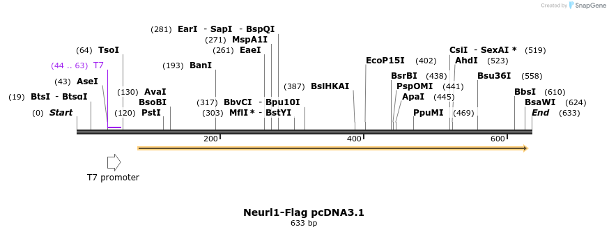 23260_map