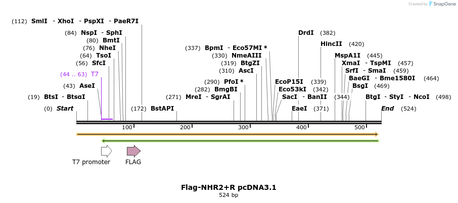 23264_map
