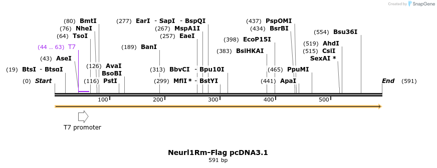 23266_map