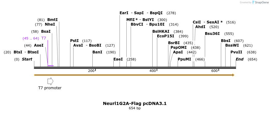 23267_map