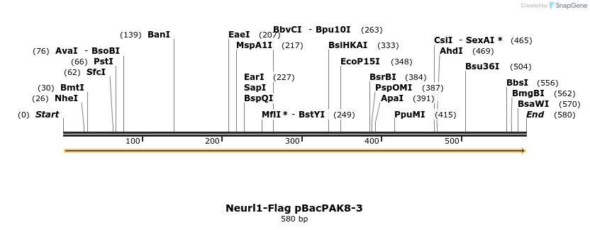 23269_map