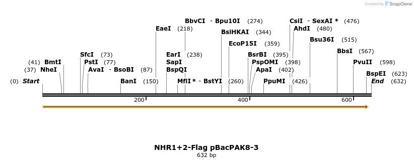 23271_map