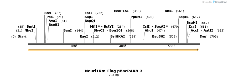 23272_map
