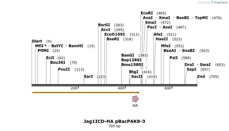 23273_map