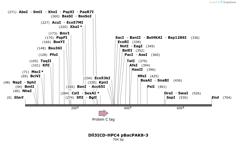 23276_map