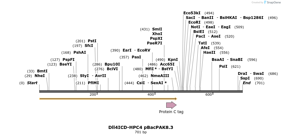 23277_map