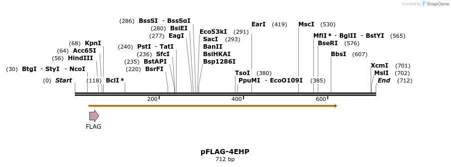 23282_map