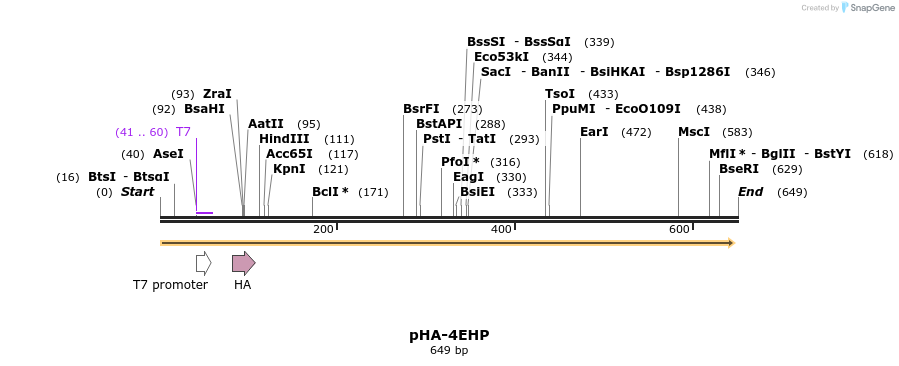 23284_map