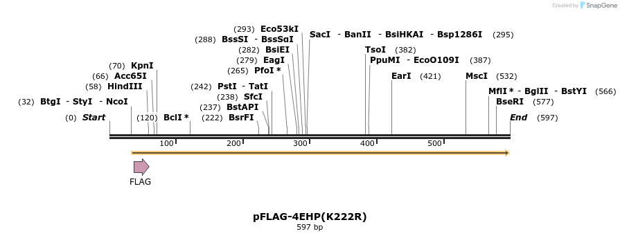 23285_map