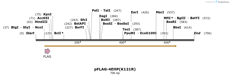 23286_map