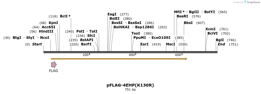 23287_map