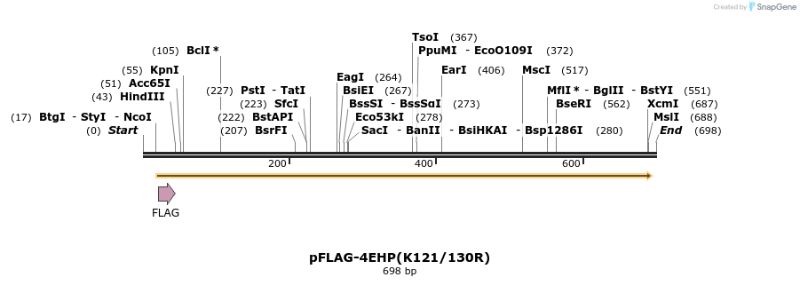 23289_map